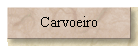 Carvoeiro