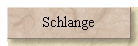 Schlange