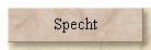 Specht